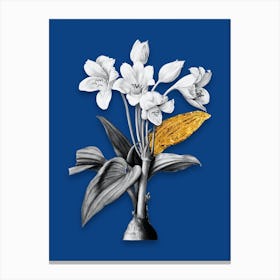 Vintage Crinum Giganteum Black and White Gold Leaf Floral Art on Midnight Blue n.0710 Canvas Print