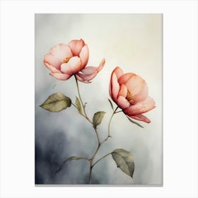 Two Pink Flowers Canvas Print