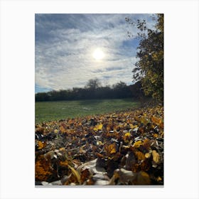 Autumn Leaves In A Field 1 Canvas Print