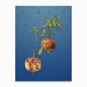Vintage Pomegranate Botanical on Bahama Blue Pattern n.0224 Canvas Print