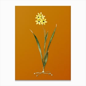 Vintage Ixia Fusco Citrina Botanical on Sunset Orange n.0250 Canvas Print