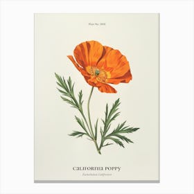 California Poppy State Flower Antique Wildflower Orange Spring Leinwandbild