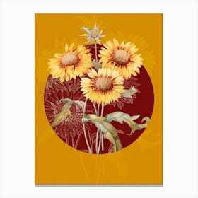Vintage Botanical Blanket Flowers Galardia on Circle Red on Yellow n.0268 Canvas Print