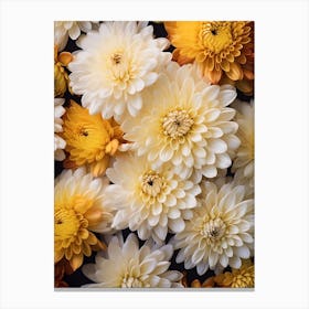 Chrysanthemums 6 Canvas Print