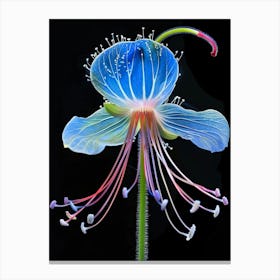 Blue Fuchsia Flower Canvas Print