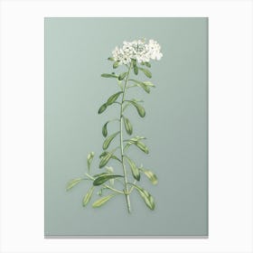 Vintage Small White Flowers Botanical Art on Mint Green n.0956 Canvas Print