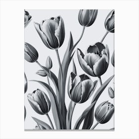 Black And White Tulips 11 Canvas Print