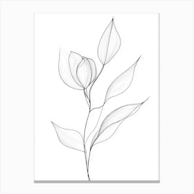 Drawing Of A Flower Canvas Print