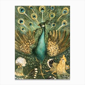 Peacocks And Chickens Canvas Print