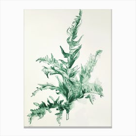 Green Ink Painting Of A Staghorn Fern 1 Canvas Print
