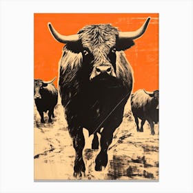 Highland Cattle, Woodblock Animal Drawing 2 Canvas Print
