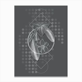 Vintage Laurel Leaved Custard Apple Branch Botanical with Line Motif and Dot Pattern in Ghost Gray n.0158 Canvas Print