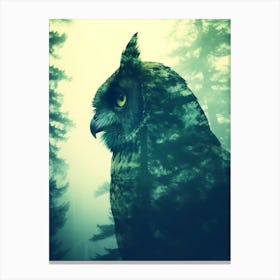 Owl In The Forest Canvas Print