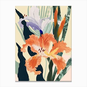 Colourful Flower Illustration Gladiolus 2 Canvas Print