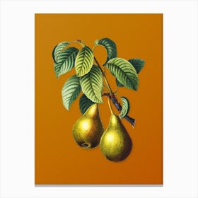 Vintage Pear Botanical on Sunset Orange n.0097 Canvas Print