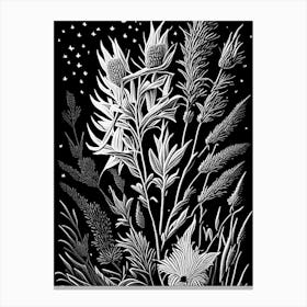 Blazing Star Wildflower Linocut 1 Canvas Print
