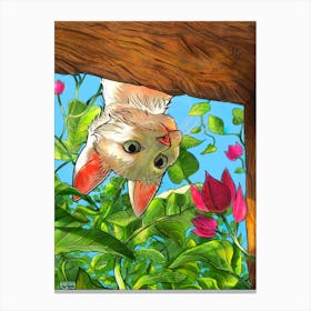 cat peeking out of a window Canvas Print