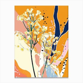 Colourful Flower Illustration Gypsophila 1 Canvas Print