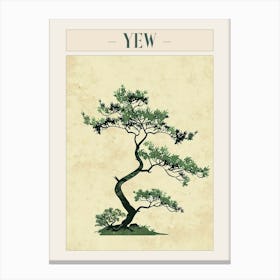 Yew Tree Minimal Japandi Illustration 4 Poster Canvas Print