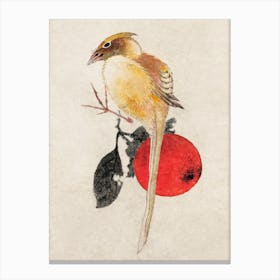 Bird, From Album Of Sketches, Katsushika Hokusai Canvas Print