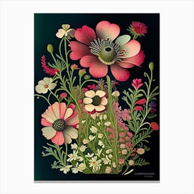 Cosmos 2 Floral Botanical Vintage Poster Flower Canvas Print