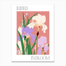Irises In Bloom Flowers Bold Illustration 4 Canvas Print