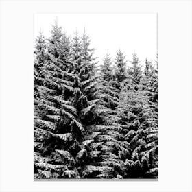 Snowy Christmas Trees Canvas Print