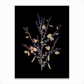 Stained Glass Yellow Broom Flowers Mosaic Botanical Illustration on Black Canvas Print
