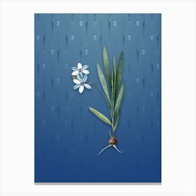 Vintage Gladiolus Plicatus Botanical on Bahama Blue Pattern n.1202 Canvas Print