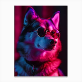 Beautiful Dog Under Neon Lights 12 Canvas Print