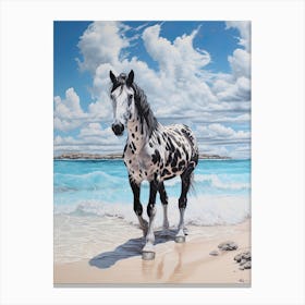 A Horse Oil Painting In Pink Sands Beach, Bahamas, Portrait 2 Canvas Print