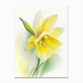 Daffodil Wildflower Watercolour Canvas Print