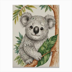 Koala 8 Canvas Print