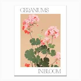 Geraniums In Bloom Flowers Bold Illustration 3 Canvas Print