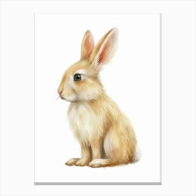 Chinchilla Rabbit Kids Illustration 4 Canvas Print