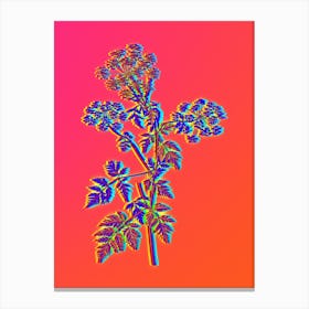 Neon Hemlock Flowers Botanical in Hot Pink and Electric Blue n.0029 Canvas Print