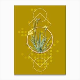 Vintage Yellow Eyed Grass Botanical with Geometric Line Motif and Dot Pattern n.0381 Canvas Print