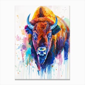 Bison Colourful Watercolour 4 Canvas Print