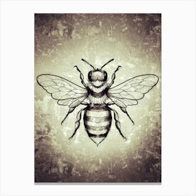 Graphic bee, insect, textured , drawing, sketch design Canvas Print