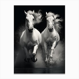 Two White Horses Running 2 Canvas Print