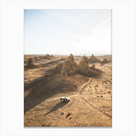 Desert Landscape Canvas Print