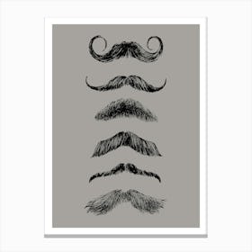 Moustaches Print Canvas Print