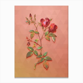 Vintage Velvet China Rose Botanical Art on Peach Pink n.0863 Canvas Print