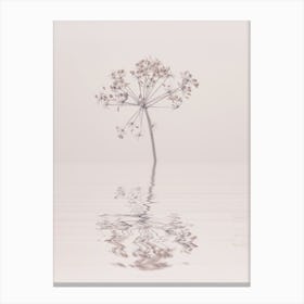 Beauty Of Nature Calm Winter Canvas Print