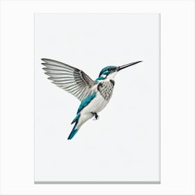 Kingfisher B&W Pencil Drawing 3 Bird Canvas Print