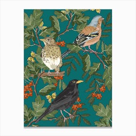 British Birds Canvas Print