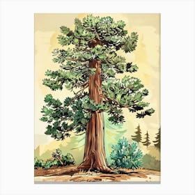 Redwood Tree Storybook Illustration 1 Canvas Print