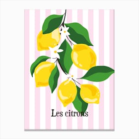 Les Citrons Canvas Print