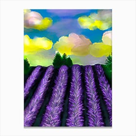 Lavender Field Canvas Print