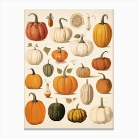 Vintage Style Pumpkin Drawing 3 Canvas Print